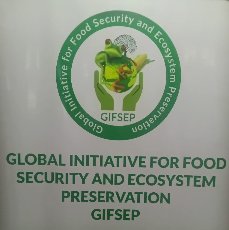 Climate advocates in Nigeria stress that Africa urgently needs climate adaptation grants, not loans, as floods and food insecurity threaten millions.