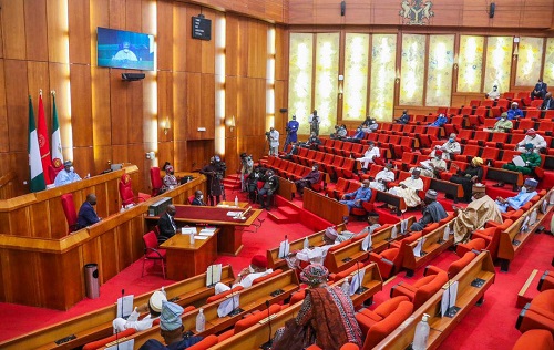 Senate chamber during passage of the Nigeria Mines Rangers Service Bill aimed at curbing illegal mining and securing mineral resources in Nigeria.