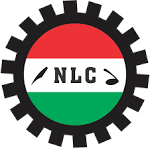 Nigeria Labour Congress rejects civil service ban on partisan politics, citing constitutional provisions.