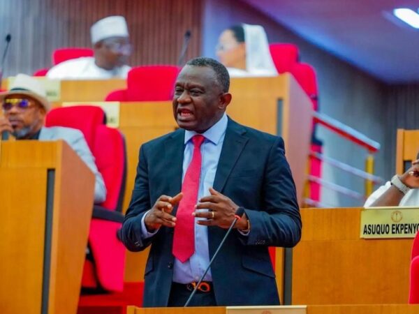 Nigerian Senate chamber during plenary as lawmakers consider a constitutional amendment to increase federal government revenue allocation