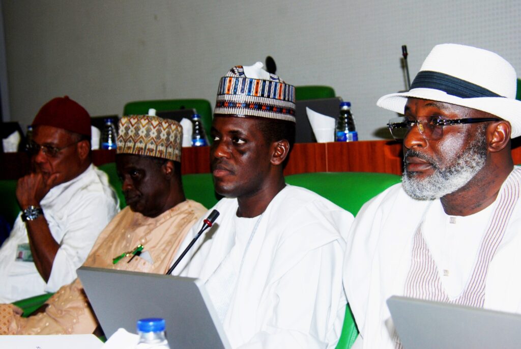 Speaker of the House of Representatives, Tajudeen Abbas, speaking on the need to protect specialised HIV/AIDS, tuberculosis and malaria programmes.